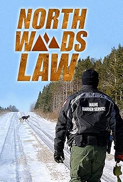 Poster of North Woods Law