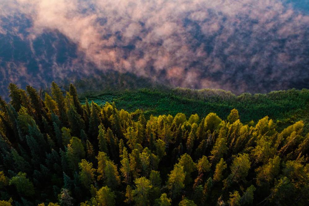 Dynamic Planet (2023)