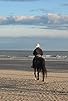 Primary photo for Randy Bird: Quiet Man Quiet Horse