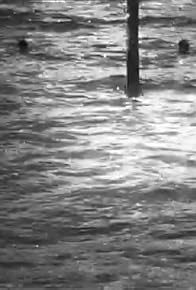 Primary photo for Life Rescue at Long Branch