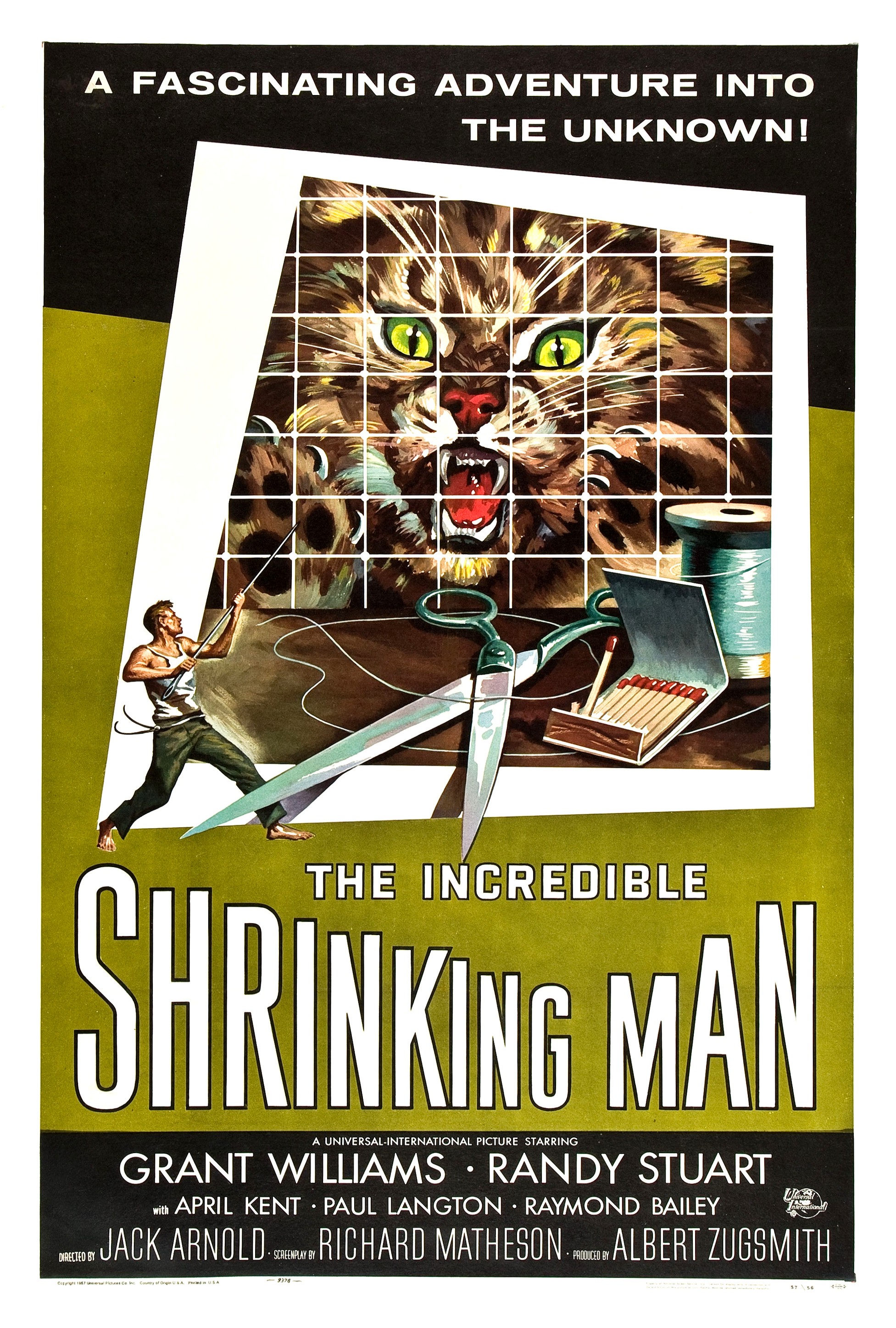 Poster of The Incredible Shrinking Man