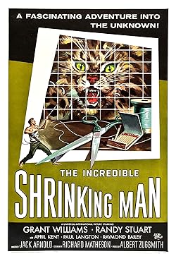 Poster of The Incredible Shrinking Man