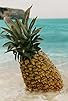 Primary photo for Pineapple Island Primary photo for Pineapple Island