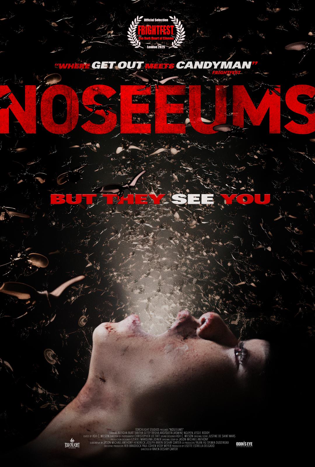 Poster of Noseeums