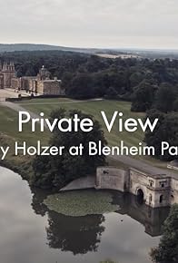 Primary photo for Nowness Private View: Jenny Holzer at Blenheim Palace