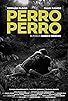 Primary photo for Perro Perro Primary photo for Perro Perro