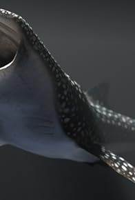 Primary photo for Drop in the Ocean
