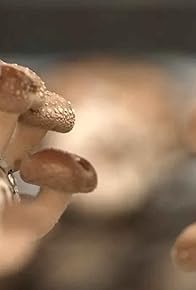 Primary photo for Episode #34.21