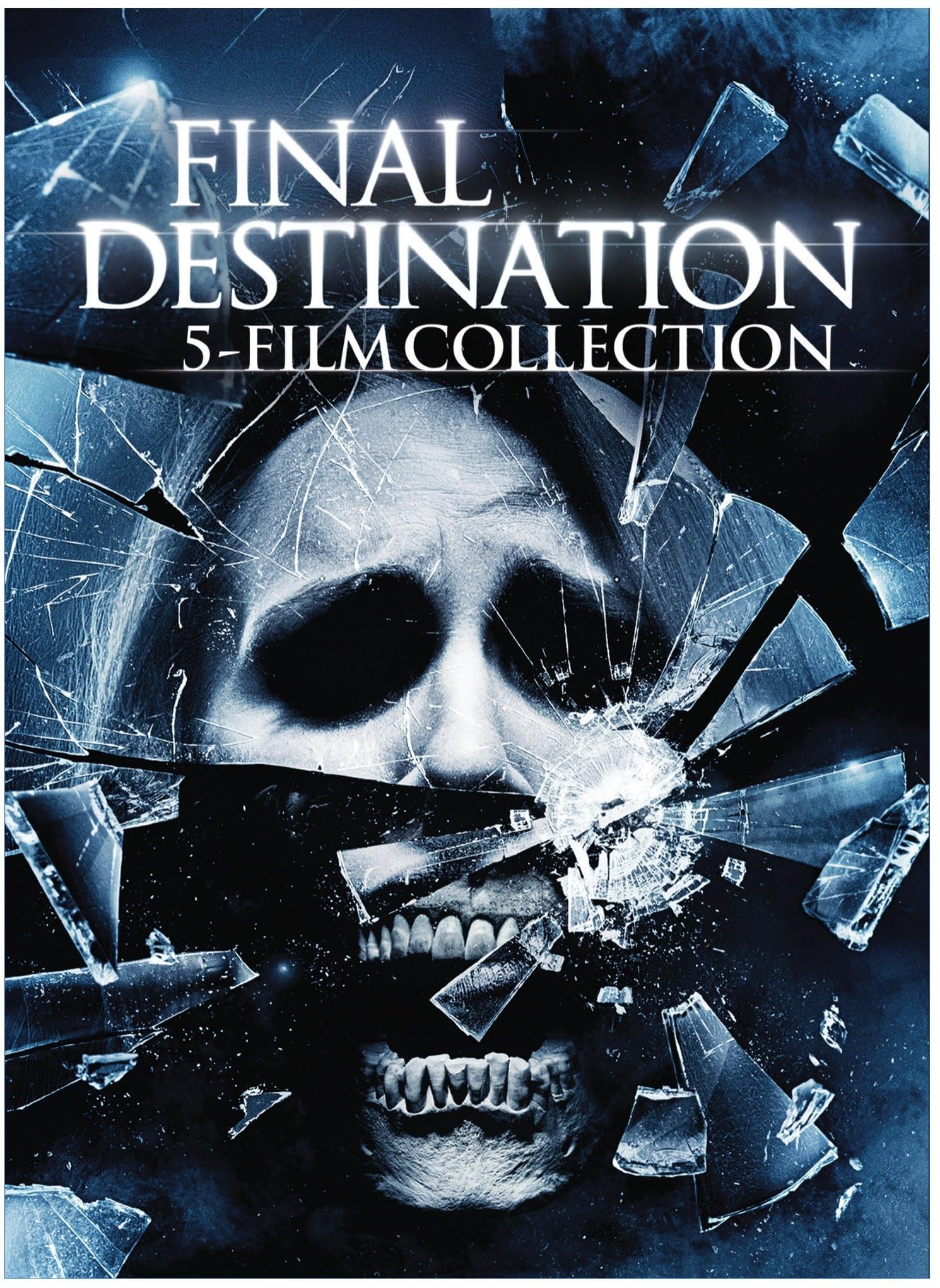 スターホース2 FINAL DESTINATION 2枚 Amazon.co.jp: スターホース2カード カード2枚セット : 文房具