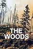 Primary photo for The Woods