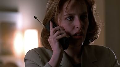 पोस्टर देखें