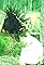 Pachamama's primary photo