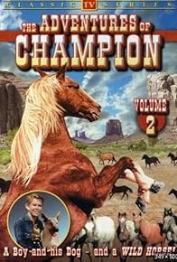 Primary photo for Canyon of Wanted Men