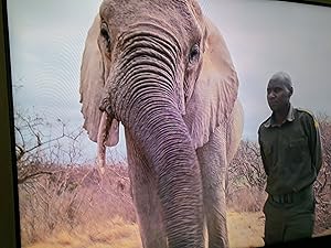Gordon Buchanan: Elephant Family & Me Poster