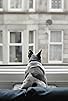 Primary photo for Pawsea (or: The Melancholy Ruminations of a Solitary French Bulldog) Primary photo for Pawsea (or: The Melancholy Ruminations of a Solitary French Bulldog)