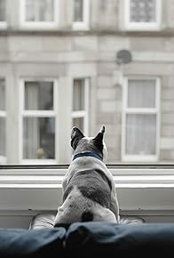 Primary photo for Pawsea (or: The Melancholy Ruminations of a Solitary French Bulldog)