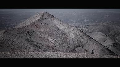 पोस्टर देखें