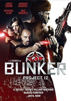 Poster of Project 12: The Bunker