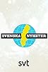 Primary photo for Svenska nyheter