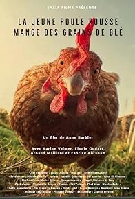 Primary photo for La jeune poule rousse mange des grains de blé Primary photo for La jeune poule rousse mange des grains de blé