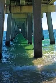 Primary photo for Trip to Gulf Shores and Fairhope Alabama