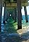 Trip to Gulf Shores and Fairhope Alabama's primary photo