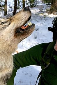 Primary photo for Land of the Lost Wolves Primary photo for Land of the Lost Wolves