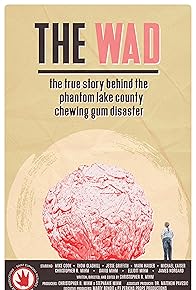 Primary photo for The Wad: The True Story Behind the Phantom Lake County Chewing Gum Disaster