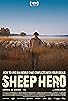 Primary photo for Sheep Hero