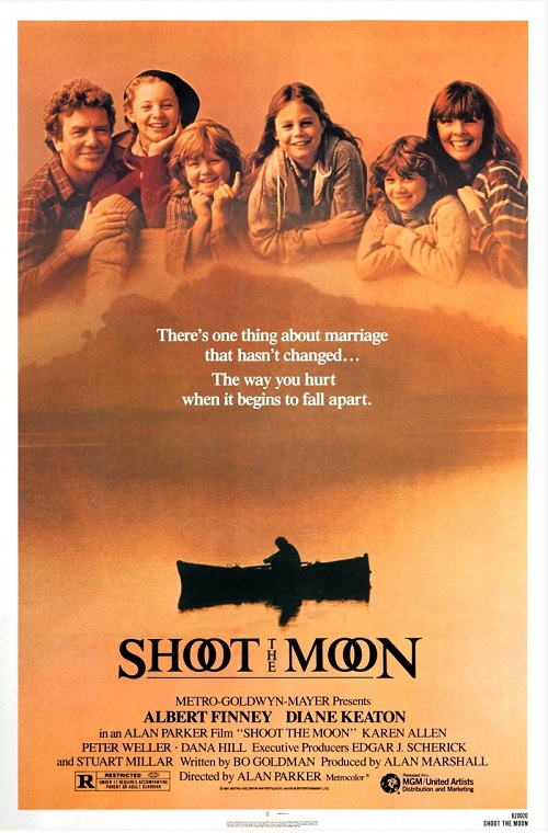 Poster of Shoot the Moon