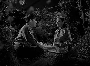 पोस्टर देखें