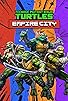 Primary photo for Teenage Mutant Ninja Turtles: Empire City