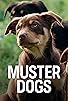 Primary photo for Muster Dogs Primary photo for Muster Dogs
