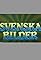 Svenska bilder's primary photo