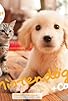 Primary photo for Nintendogs + Cats Primary photo for Nintendogs + Cats