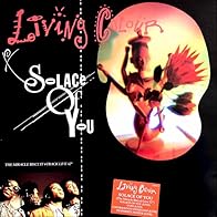 Primary photo for Living Colour: Solace of You