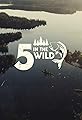 Five in the Wild's primary photo