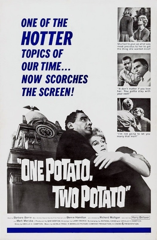その他 One Potato, Two Potato [DVD] Amazon.com: One Potato, Two Potato : Barbara Barrie, Bernie