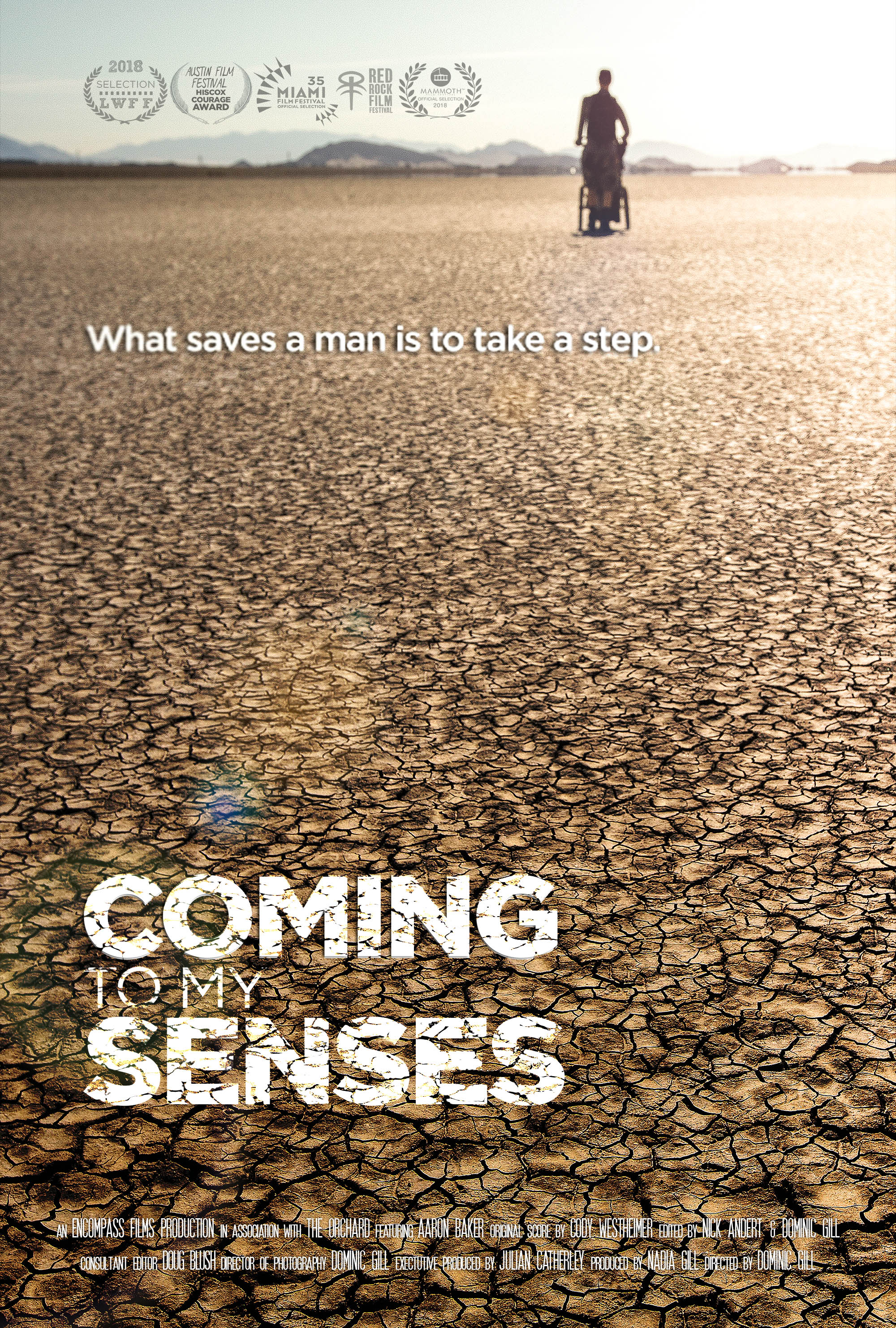 Poster of Coming to My Senses