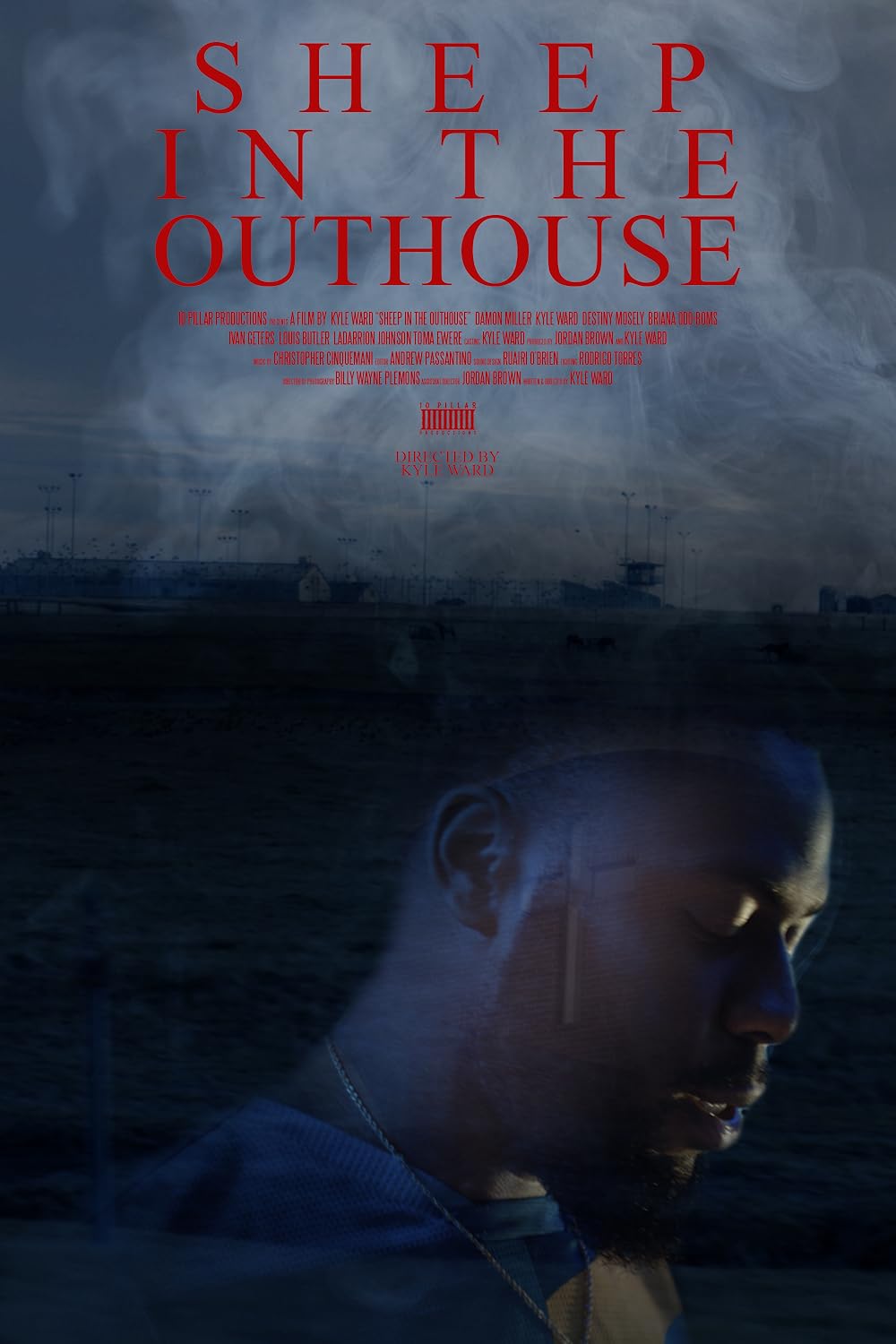 Sheep in the Outhouse