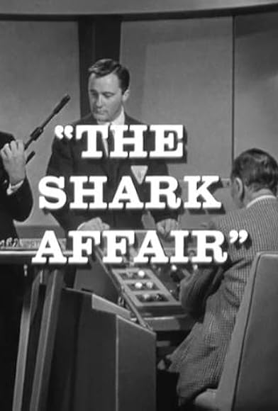 Primary photo for The Shark Affair Primary photo for The Shark Affair
