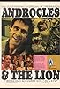 Primary photo for Androcles and the Lion
