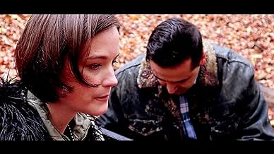 पोस्टर देखें