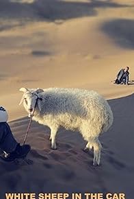 Primary photo for White Sheep in the Car