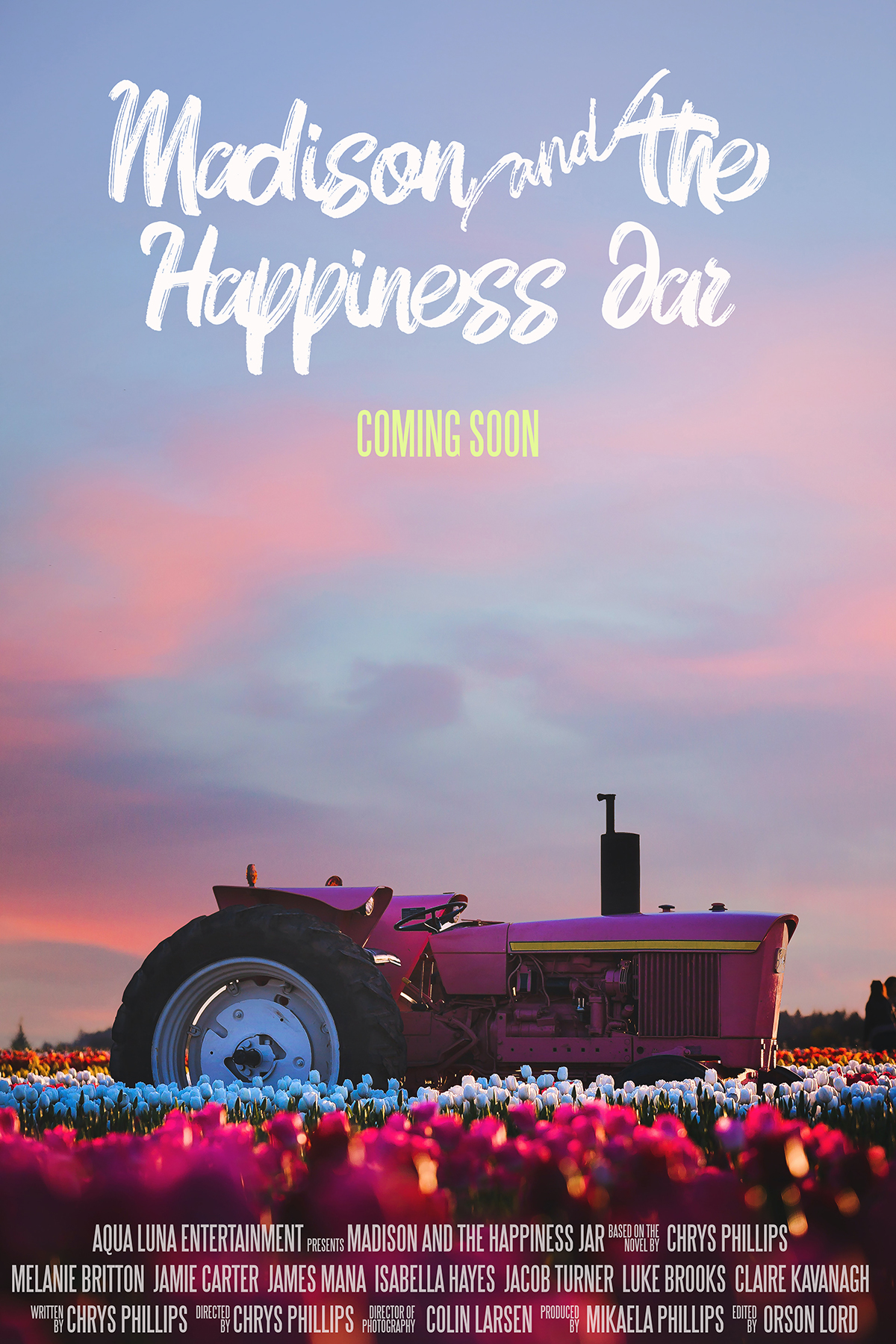 Poster of Madison and the Happiness Jar
