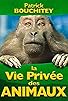 Primary photo for La vie privée des animaux Primary photo for La vie privée des animaux