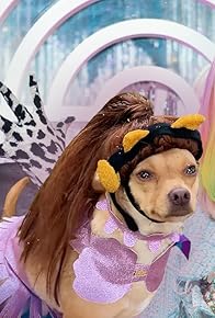 Primary photo for Puppy Parade