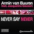 Primary photo for Armin van Buuren Feat. Jacqueline Govaert: Never Say Never