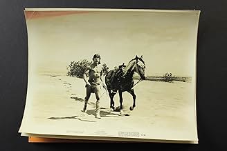 पोस्टर देखें