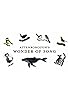 Primary photo for Attenborough's Wonder of Song Primary photo for Attenborough's Wonder of Song